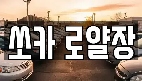 경상북도 포항시 남구 해도동 렌트카 전문 쏘카 로얄장