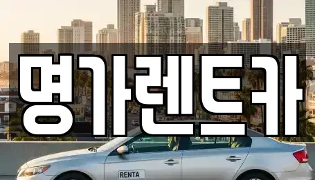 경상북도 포항시 북구 동빈1가 렌트카 전문 명가렌트카