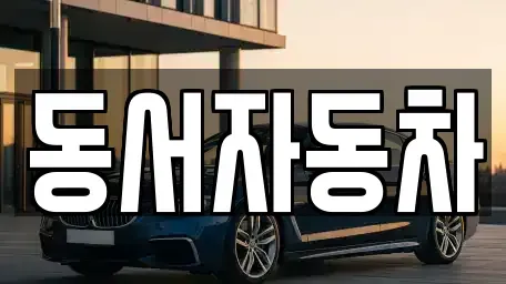 경상북도 포항시 북구 동빈1가 중고차매매 전문 동서자동차