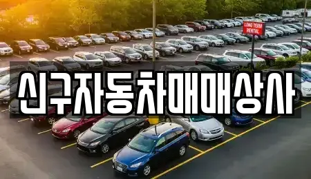 경상북도 포항시 북구 동빈1가 중고차매매 전문 신구자동차매매상사