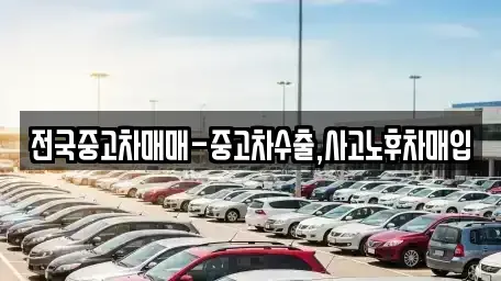 경상북도 포항시 북구 동빈1가 중고차매매,단기렌트카,중고차매입,장기렌트카,중고차,렌트카