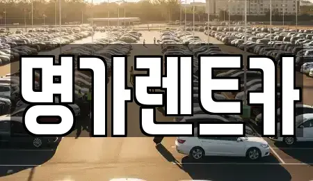경상북도 포항시 북구 우현동 렌트카,단기렌트카,장기렌트카,중고차,중고차매매,중고차매입