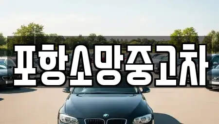 경상북도 포항시 북구 장성동 중고차 전문 포항소망중고차