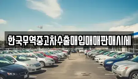 경상북도 포항시 북구 장성동 중고차 전문 한국무역중고차수출매입매매판매시세