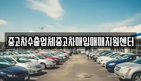 경상북도 포항시 북구 장성동 중고차매입 전문 중고차수출업체중고차매입매매지원센터