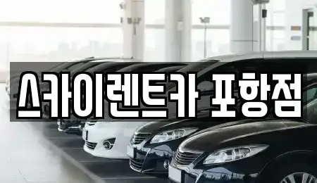 경상북도 포항시 북구 죽도동 렌트카 전문 스카이렌트카 포항점
