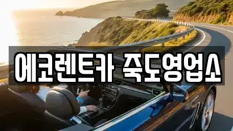 경상북도 포항시 북구 죽도동 렌트카 전문 에코렌트카 죽도영업소