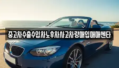 경상북도 포항시 북구 죽도동 중고차,렌트카,중고차매입,중고차매매,장기렌트카,단기렌트카