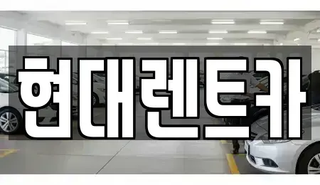 경상북도 포항시 북구 항구동 렌트카 전문 현대렌트카