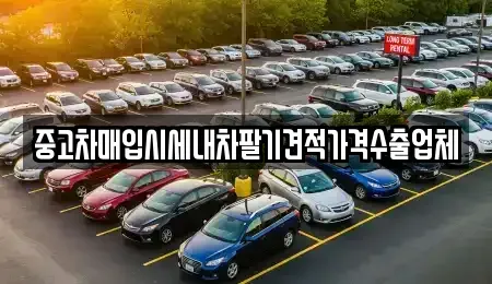 경상북도 포항시 북구 항구동 중고차매입 전문 중고차매입시세내차팔기견적가격수출업체