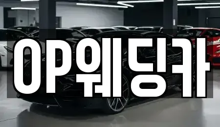 광주 광산구 도천동 렌트카 전문 OP웨딩카