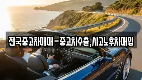 광주 광산구 북산동 중고차매입 전문 전국중고차매매-중고차수출,사고노후차매입