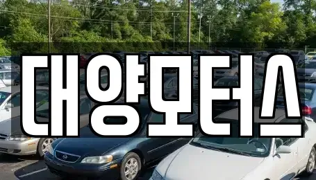 광주 광산구 산정동 중고차 전문 대양모터스
