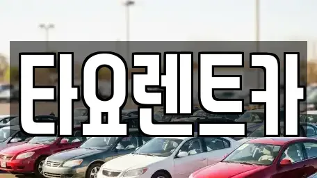 광주 광산구 신가동 렌트카 전문 타요렌트카