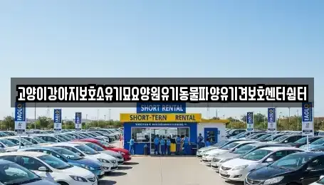 광주 광산구 양동 중고차 전문 고양이강아지보호소유기묘요양원유기동물파양유기견보호센터쉼터