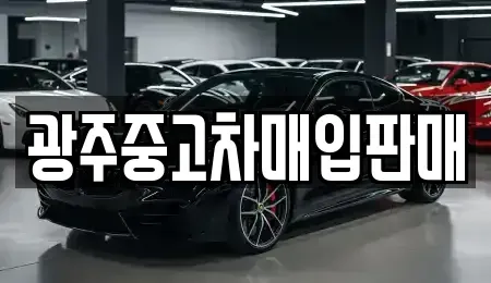 광주 광산구 장록동 중고차매매,단기렌트카,중고차매입,장기렌트카,중고차,렌트카