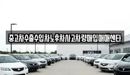 광주 광산구 장록동 중고차매입 전문 중고차수출수입차노후차사고차량매입매매센타