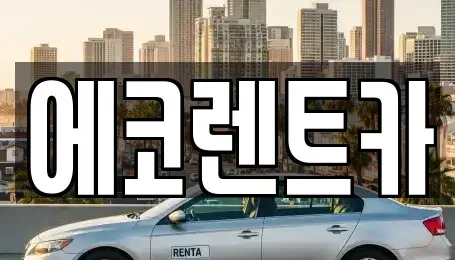 광주 북구 삼각동 렌트카 전문 에코렌트카