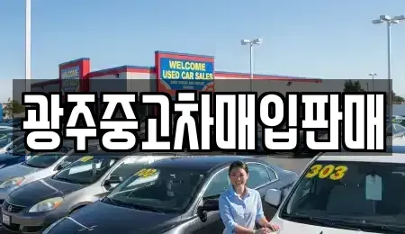 광주 북구 삼각동 중고차 전문 광주중고차매입판매