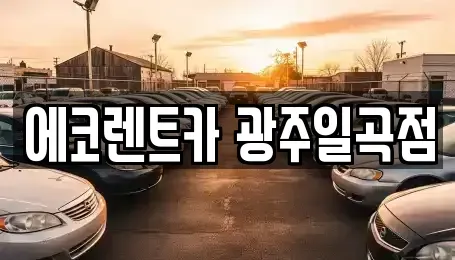 광주 북구 생용동 렌트카 전문 에코렌트카 광주일곡점