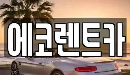 광주 북구 생용동 렌트카 전문 에코렌트카