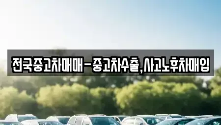 광주 북구 생용동 중고차매입 전문 전국중고차매매-중고차수출,사고노후차매입