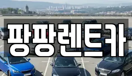 광주 북구 오룡동 렌트카 전문 팡팡렌트카