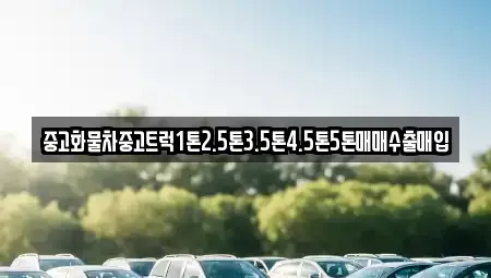 광주 북구 오룡동 중고차매입 전문 중고화물차중고트럭1톤2.5톤3.5톤4.5톤5톤매매수출매입