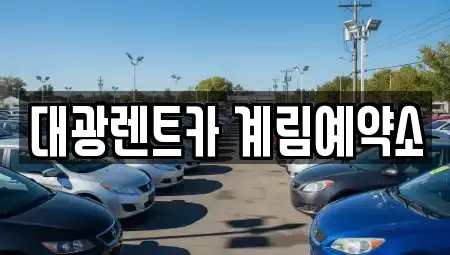 광주 북구 중흥동 장기렌트카 전문 대광렌트카 계림예약소
