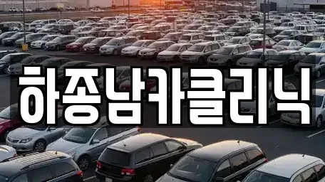 광주 북구 중흥동 중고차 전문 하종남카클리닉