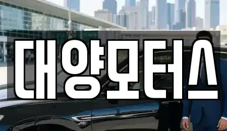 광주 북구 중흥동 중고차매매 전문 대양모터스