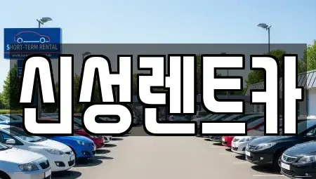 광주 서구 금호동 렌트카 전문 신성렌트카