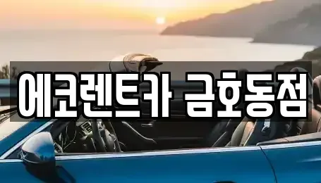 광주 서구 금호동 렌트카 전문 에코렌트카 금호동점