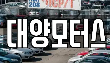 광주 서구 금호동 중고차매매 전문 대양모터스