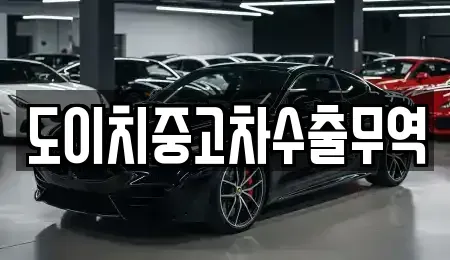 광주 서구 금호동 중고차매매 전문 도이치중고차수출무역