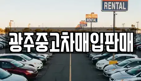 광주 서구 금호동 중고차매입 전문 광주중고차매입판매
