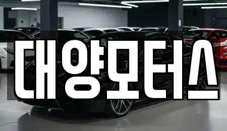 광주광역시 광산구 송촌동 중고차매매 전문 대양모터스