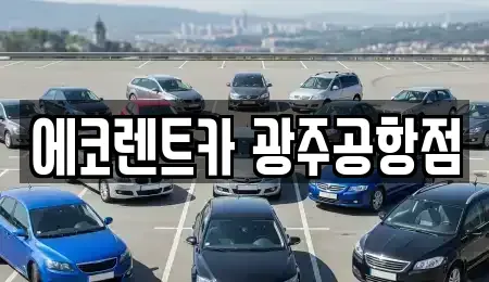 광주광역시 광산구 황룡동 렌트카 전문 에코렌트카 광주공항점