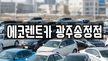 광주광역시 광산구 황룡동 렌트카 전문 에코렌트카 광주송정점