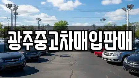 광주광역시 광산구 황룡동 중고차 전문 광주중고차매입판매
