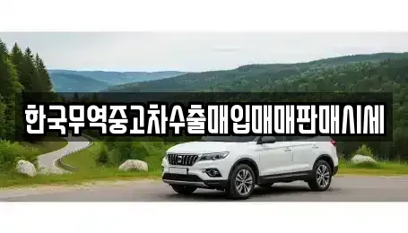 광주광역시 광산구 황룡동 중고차 전문 한국무역중고차수출매입매매판매시세