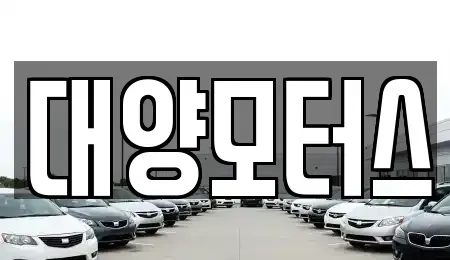 광주광역시 남구 서동 중고차 전문 대양모터스