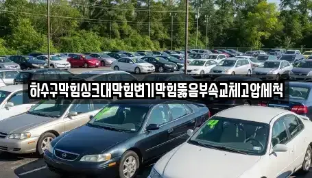 광주광역시 남구 서동 중고차 전문 하수구막힘싱크대막힘변기막힘뚫음부속교체고압세척
