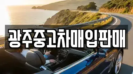 광주광역시 남구 서동 중고차매입 전문 광주중고차매입판매