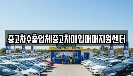 광주광역시 남구 서동 중고차매입 전문 중고차수출업체중고차매입매매지원센터