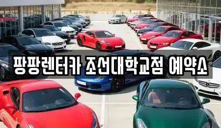 광주광역시 동구 렌트카 전문 팡팡렌터카 조선대학교점 예약소
