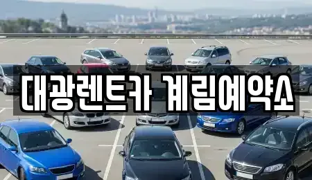 광주광역시 동구 장기렌트카 전문 대광렌트카 계림예약소