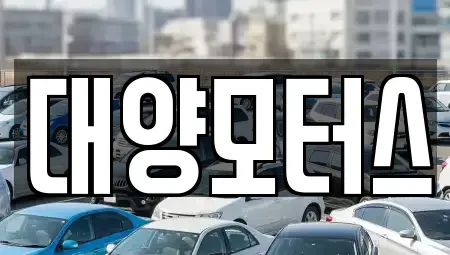 광주광역시 동구 중고차매매 전문 대양모터스