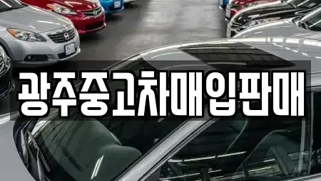 광주광역시 동구 학동 중고차매매 전문 광주중고차매입판매