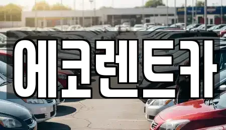 광주광역시 북구 우산동 렌트카 전문 에코렌트카